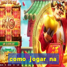 como jogar na teimosinha da lotofacil