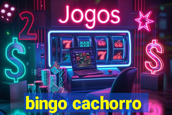 bingo cachorro