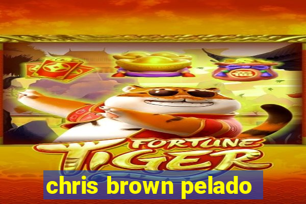 chris brown pelado