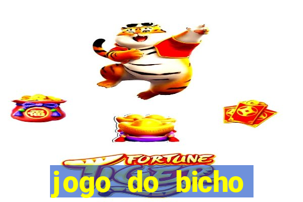 jogo do bicho crash bingo