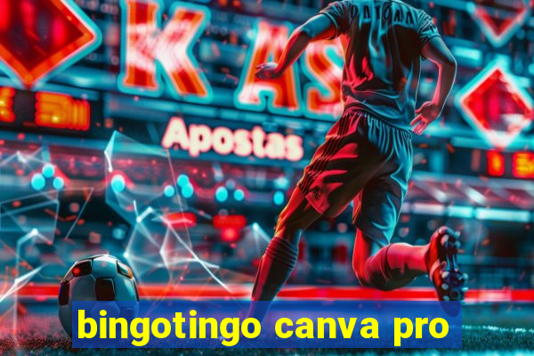 bingotingo canva pro