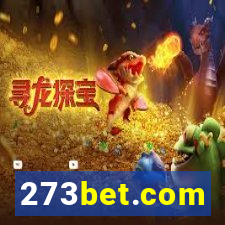 273bet.com