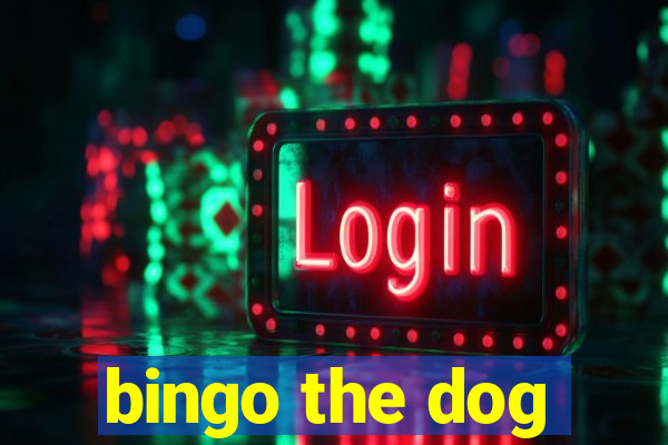 bingo the dog