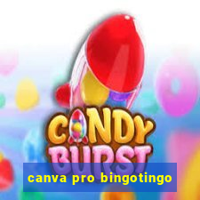 canva pro bingotingo