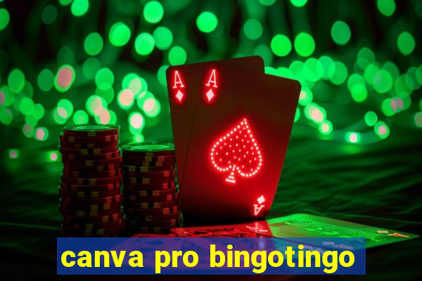 canva pro bingotingo