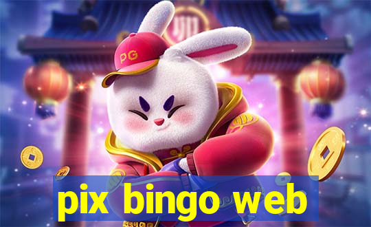 pix bingo web