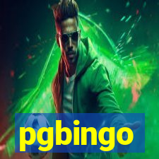 pgbingo