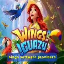 bingo software providers