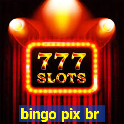 bingo pix br