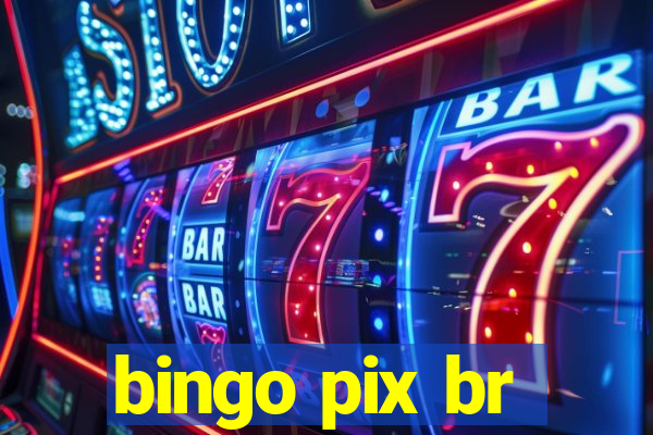 bingo pix br