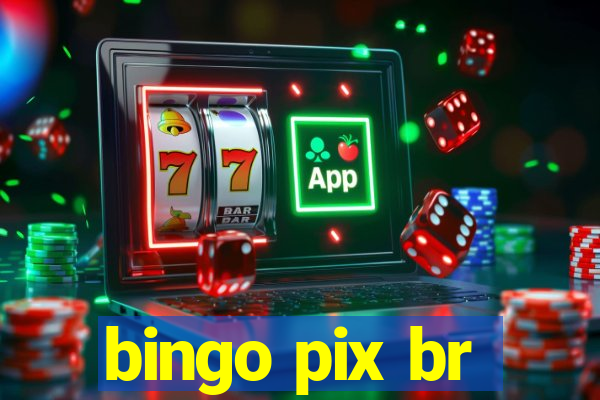 bingo pix br