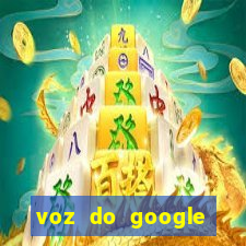 voz do google tradutor homem