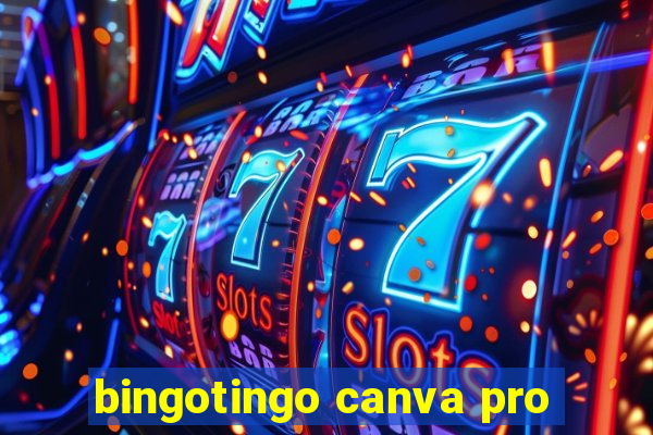 bingotingo canva pro