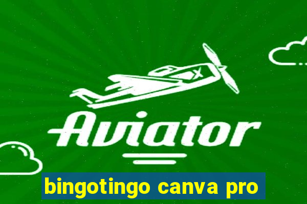 bingotingo canva pro