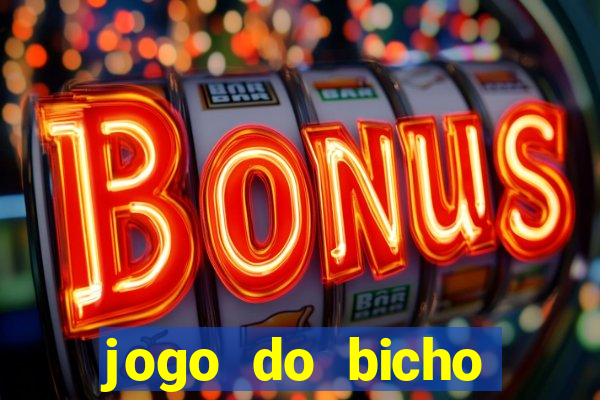 jogo do bicho crash bingo