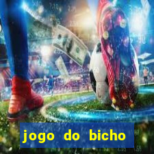 jogo do bicho crash bingo